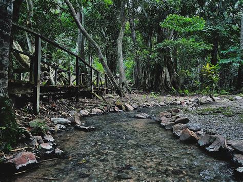  Ikogosi Warm Springs:  Bir Sıcak Su Mucizesi ve Doğal Güzelliklerin Cennetinin Kapısı!