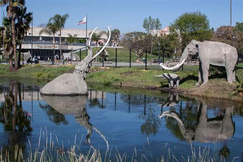 La Brea Tar Pits: Gizemli Bir Zamana Yolculuk